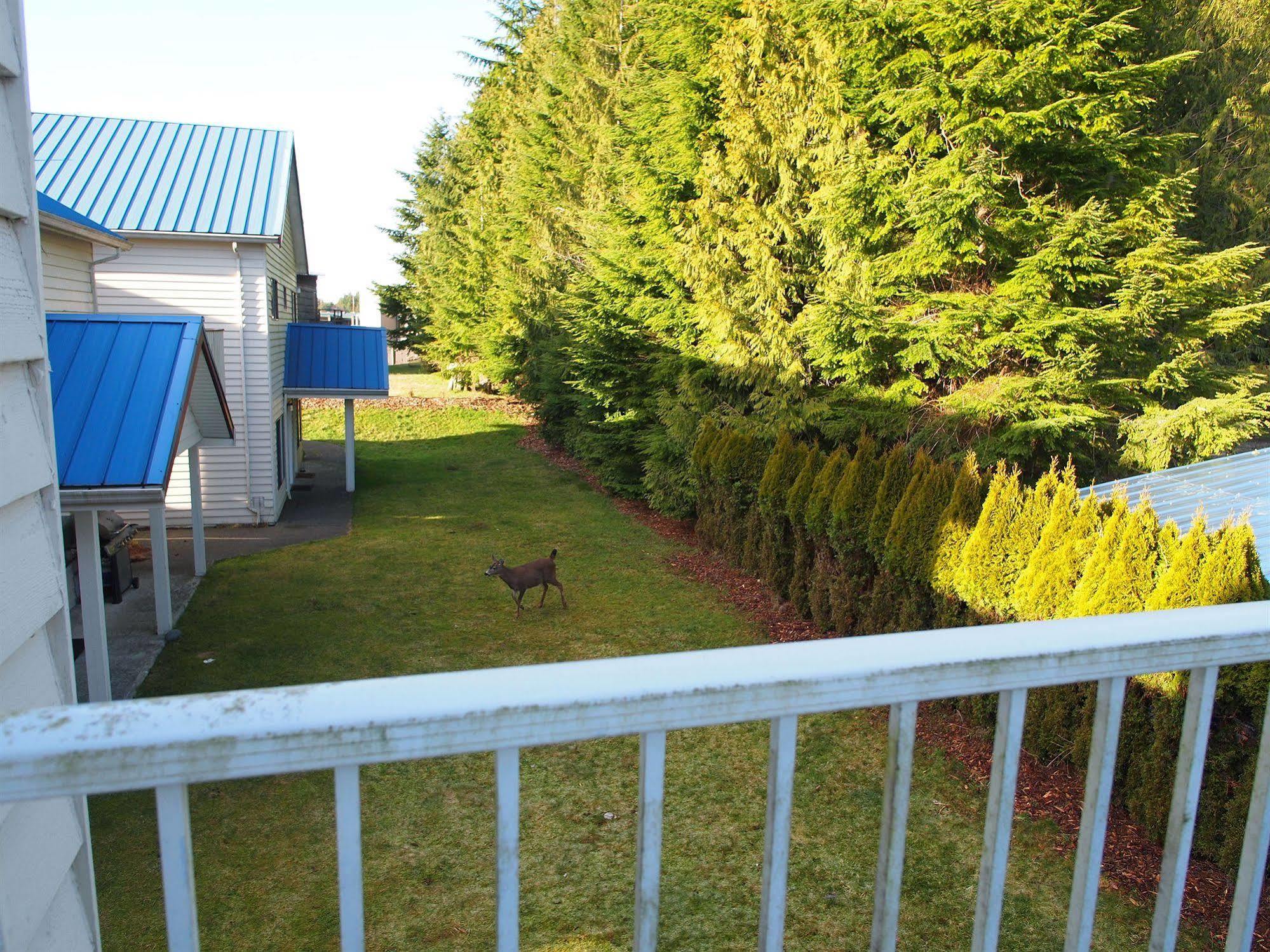 Whale'S Tail Guest Suites Ucluelet Eksteriør billede